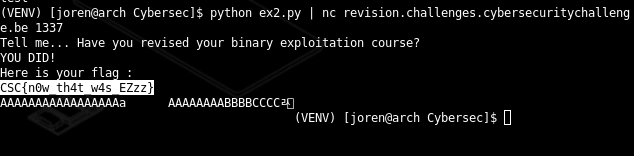 Binary Exploitation Flag alter-text
