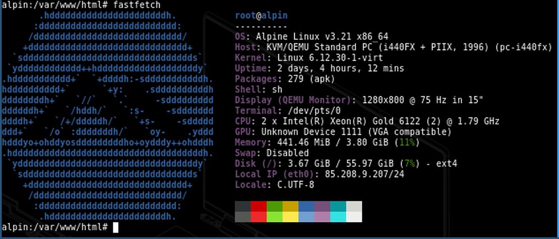 Self-Hosting My Hugo Blog: Minimal Deployment on a VPS